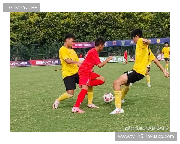 中国足球是否重视各级联赛间的衔接，中国足球是否重视各级联赛间的衔接运动