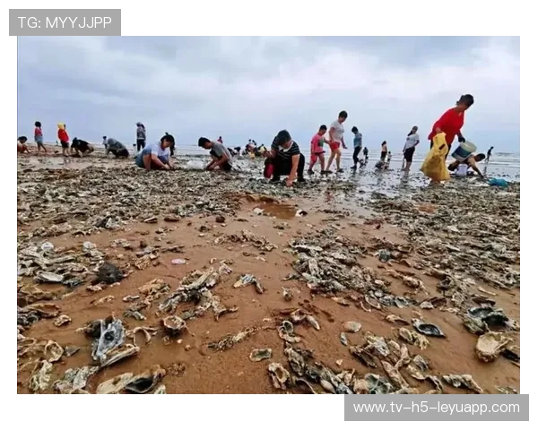 台风带来海鲜盛宴，惠州赶海活动火爆全城，惠州赶海几点去比较好