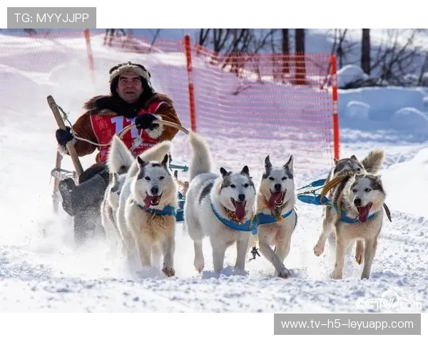 雪橇锦标：俄罗斯队稳居金牌榜，冲击纪录！，俄罗斯的雪橇